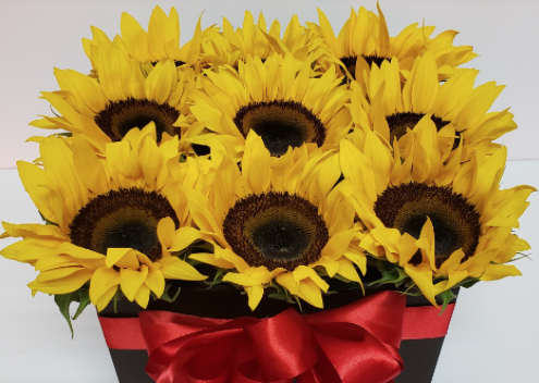 Caja de 9 girasoles R16